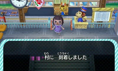 ハイビスカスの苗とまいこちゃん ハピラキ村diary