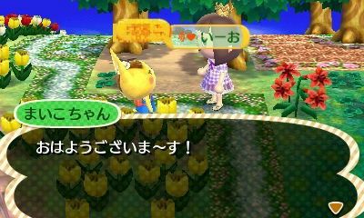 ハイビスカスの苗とまいこちゃん ハピラキ村diary