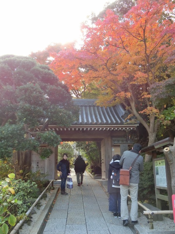 鎌倉市浄明寺地区の紅葉 報国寺 華頂宮邸 釈迦堂切通し 歴史オタクの郷土史グルメ旅 久良岐のよし