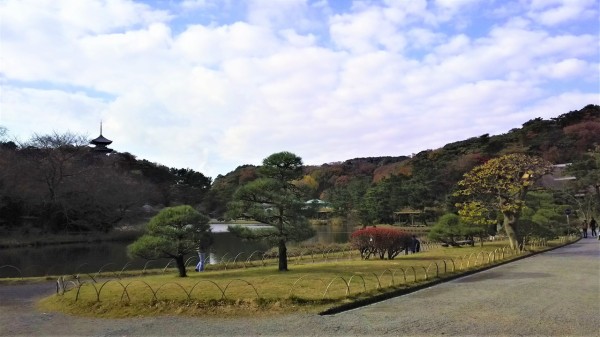 速報 横浜市の三渓園 山下公園前銀杏並木 鎌倉市の報国寺 華頂宮邸 鶴岡八幡宮の紅葉状況 2017年12月第１週の今が見頃です 歴史オタクの郷土史グルメ旅 久良岐のよし