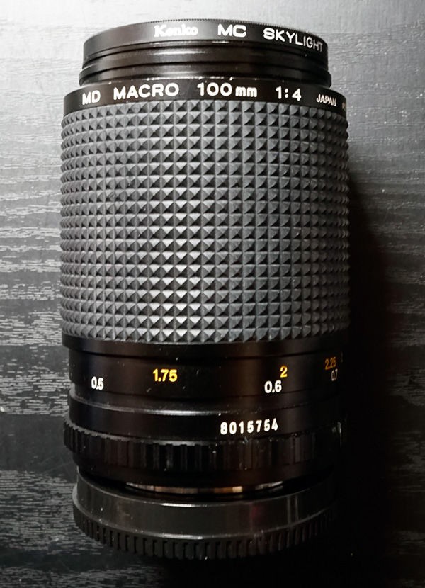 レンズレビュー】MINOLTA MD MACRO 100mm/F4 : 竜門寺ユカラさんの
