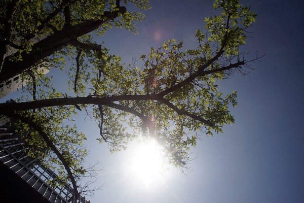 レンズレビュー】KONICA HEXANON AR 24mm/F2.8 : 竜門寺ユカラさんの