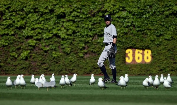 イチローは鳥になる前はリスだったんやで Mlb News なんj