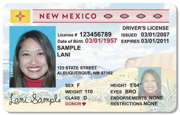アメリカの運転免許の話① デザイン : テキサス移住のひきこもごも