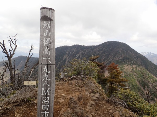 皇海山 鋸山 皇海橋からピストン ぷち登山