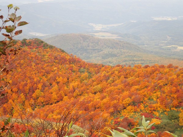 東北遠征 岩木山 八合目からピストン ぷち登山