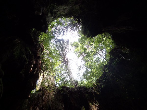 白谷雲水峡から縄文杉へトレッキング ぷち登山 白谷雲水峡から縄文杉へトレッキング ぷち登山