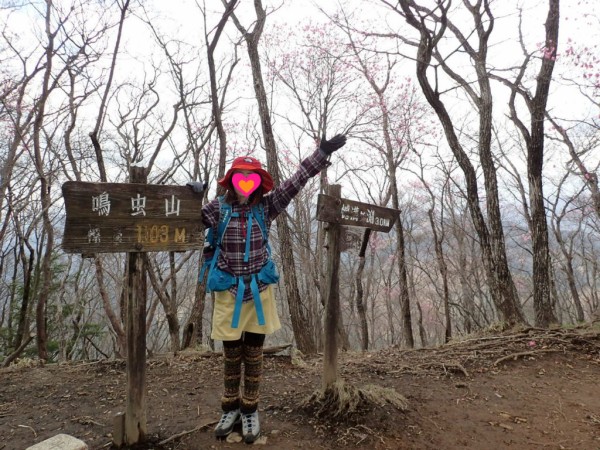 アカヤシオ咲き乱れる鳴虫山 ぷち登山