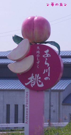 旬のブランド桃 あら川の桃 格安購入ドライブ 15 苺の友の関西食べあるき