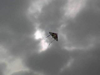 ゲイラカイト スカイスパイ を修理して飛行 104のblog