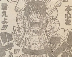 ワンピース ネタバレ 856話 ワンピに誕生した新たな名言ｗｗｗｗｗｗ One Piece World