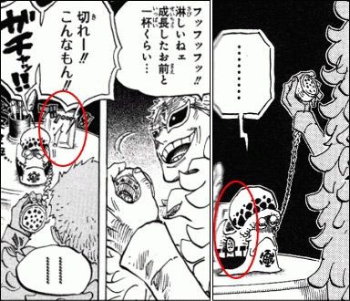 ワンピース ドフラミンゴが写真立てに入れてる人物は誰なの 画像あり One Piece World
