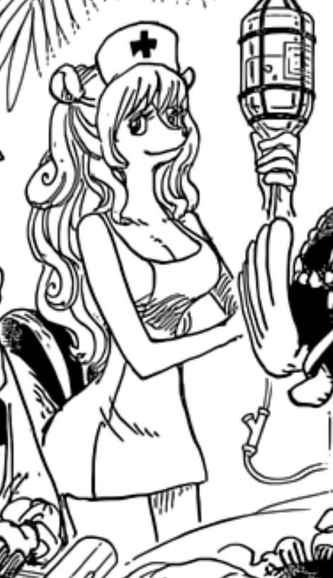 ワンピース ネタバレ 808話 ミンク族のキャラデザって可愛いし格好いいよね One Piece World