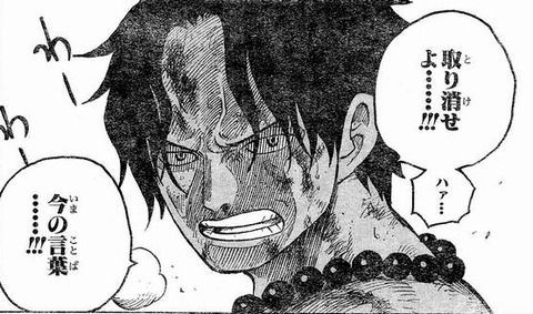 ワンピースのメラメラの実がハズレという風潮 One Piece World