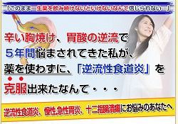 慢性胃炎の治し方 食事療法 逆流性食道炎 福辻鋭記 口コミ評判