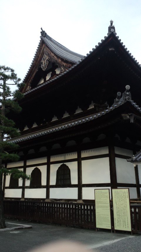 相国寺 法堂 ほっかいどう はぐれ雲 おじさん日記