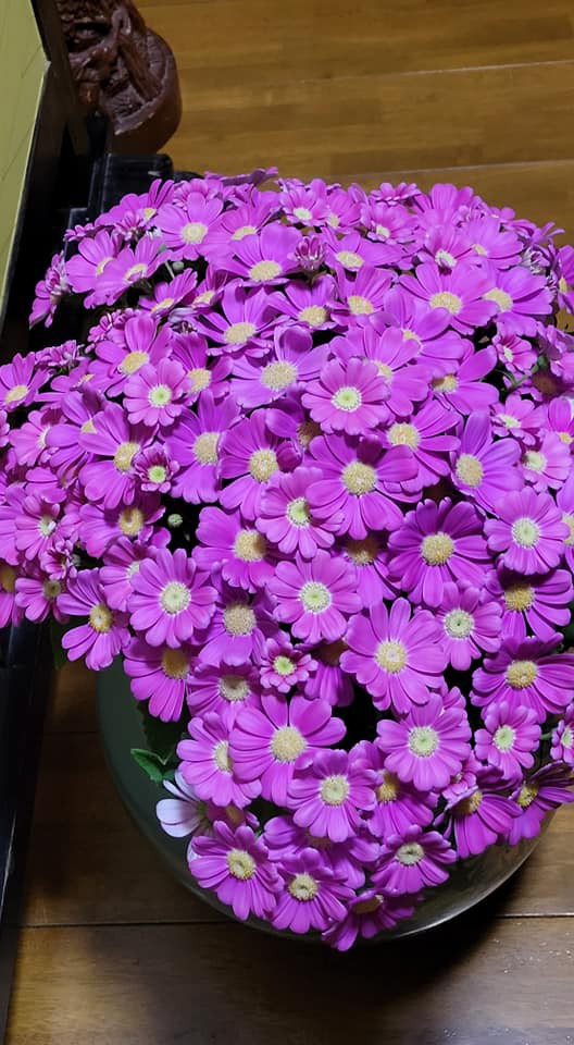 アオサ採り解禁しました けど ワンちゃん ママン奮闘記