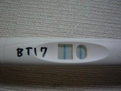 フライングな妊娠検査 やよいの妊活日記