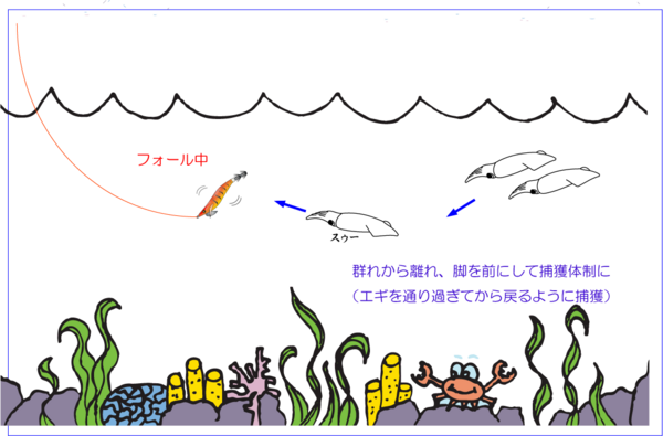 ライトエギング考察 漁港でヤリイカの群れを見つけたらどう攻める いか専 Fromはこだて
