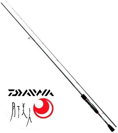 ライトエギング どんなロッドがいい いか専 Fromはこだて