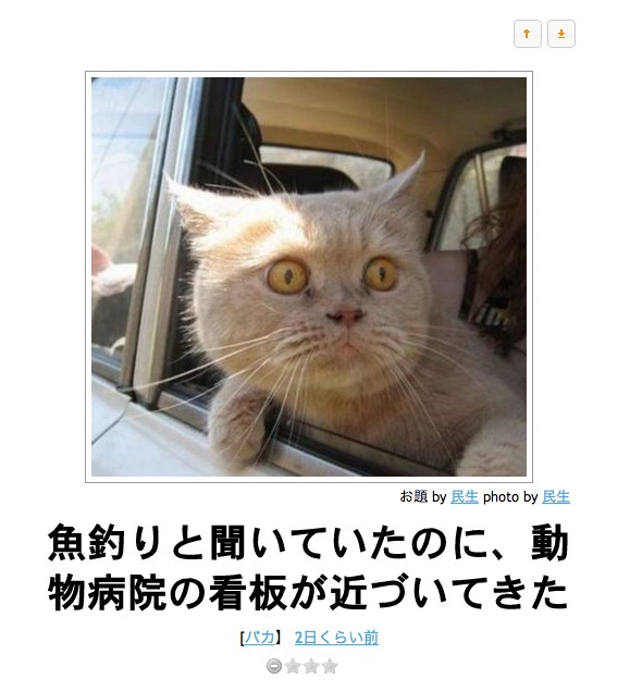 猫のボケて とりあえず Blog