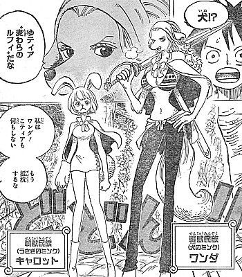 ｏｎｅ ｐｉｅｃｅ 合流 ハートの海賊団 滅ぼされた国と仲間たちの訃報 いけさんフロムエル