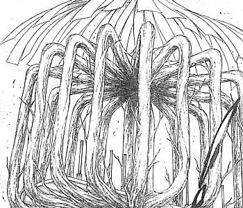 BLEACH」～雑魚に通らす道は無ェ！隠された霊王宮と零番隊