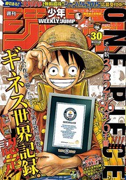 ｏｎｅ ｐｉｅｃｅ おれは息がつまりそうだ レイリーの助言と天を穿つ拳 いけさんフロムエル