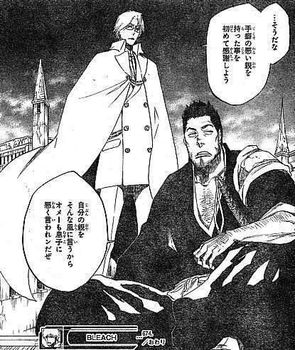 ｂｌｅａｃｈ 死神皆須らく 友と人間とを守り死すべし 動き出す２人と駆けつける２人 いけさんフロムエル