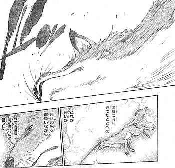 BLEACH」～復讐こそ真の姿！人としての最期と嫌悪のある
