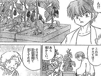 境界のｒｉｎｎｅ ナスのファンタジー ナスに怯える霊とナスと共に散った恋 いけさんフロムエル