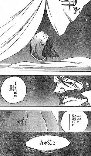 ｂｌｅａｃｈ 霊王死す 託された使命と突き刺さる凶刃 いけさんフロムエル