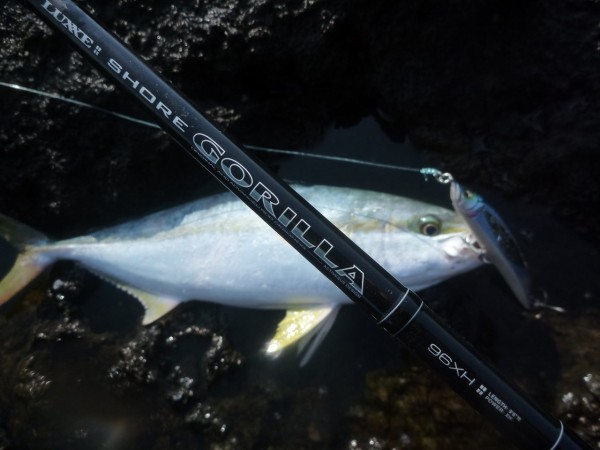 うっほうっほ♪♪ショアゴリラ96XH : 漁ちゃんの宝島 壱岐