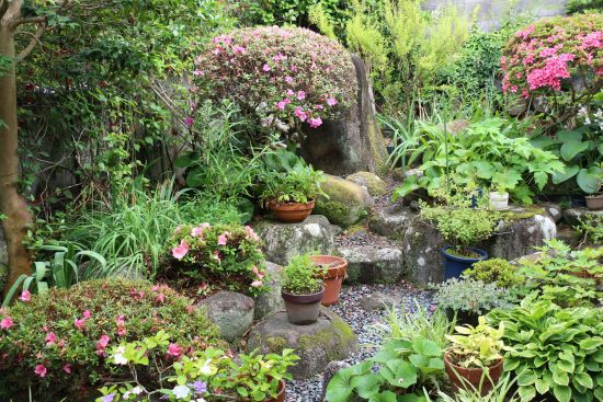 サツキ の 剪定