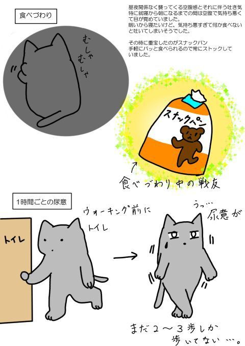 第1子妊娠中のいろいろ ねこ 母になる