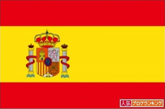 スペインの国花 カーネーション スペイン大好き
