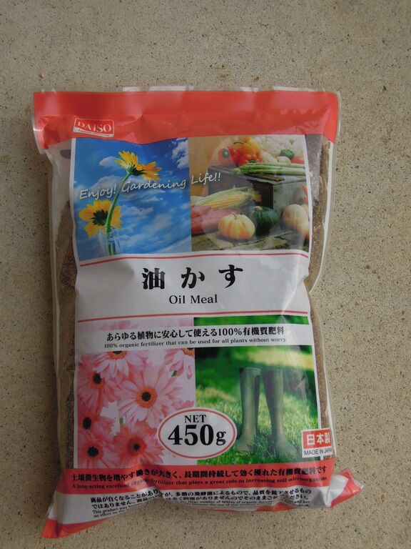 サツキの施肥と剪定 強剪定 をしました イナカモノのイナカグラシ