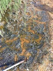 六価クロム汚水の汚染土壌