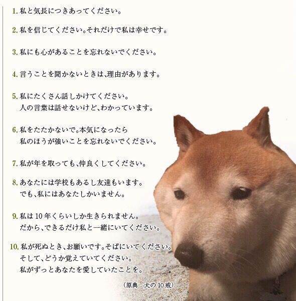 ｕ W 私のほうが強いことはわかっています いんくるーどログ