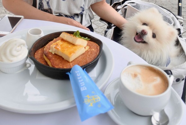 バター 三井アウトレットパーク多摩南大沢店 ぴぃちゃんとテラス席