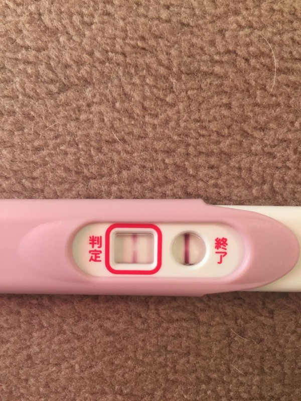 D40 フライング検査part3 D38 と基礎体温 パネンの転勤族妻日記
