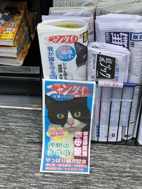 日刊ニャンダイ!? : 「猪俣淳の不動産投資にまつわる１００の話」プラス