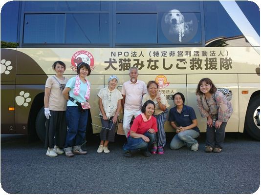 地域猫 Npo法人 犬猫みなしご救援隊 代表ブログ みなしご庵へようこそ