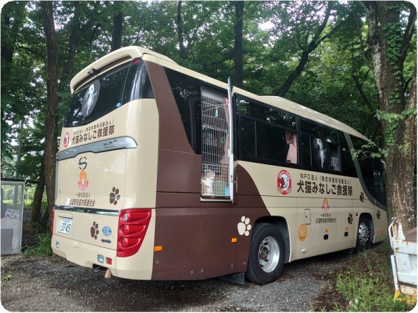 栃木拠点 7月10日 Npo法人 犬猫みなしご救援隊 代表ブログ みなしご庵へようこそ