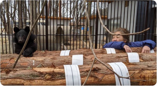 ツキノワグマ Npo犬猫みなしご救援隊 代表ブログ みなしご庵へようこそ