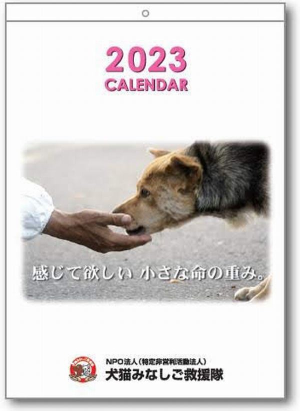 23年オリジナルカレンダー Npo犬猫みなしご救援隊 代表ブログ みなしご庵へようこそ