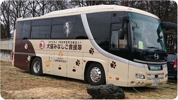 栃木拠点 3月8日 Npo法人 犬猫みなしご救援隊 代表ブログ みなしご庵へようこそ