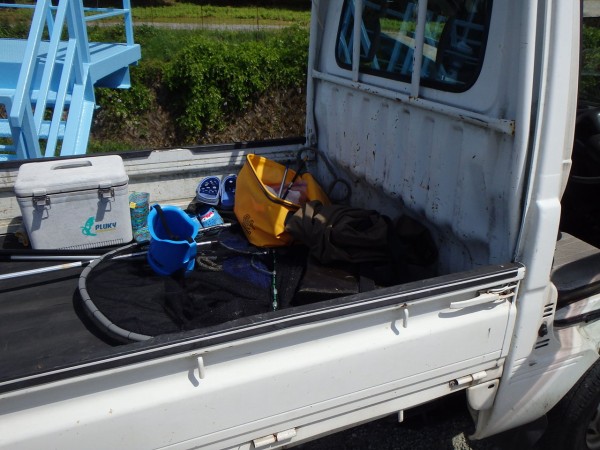 春タナゴ釣りと新芽 魚心釣心