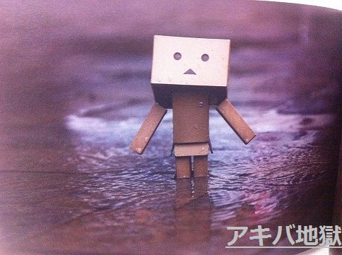 よつばと ダンボー写真集 365 Days Of Danboard ダンボー好きな人には本当たまらない出来 アキバジゴク