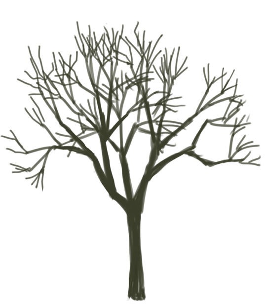 木の描き方と葉っぱ用saiカスタムブラシ ブラシ追加方法も